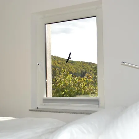 公寓 Eifel Frohngau