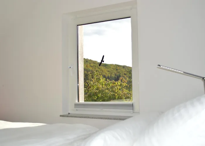 Appartement Eifel Frohngau